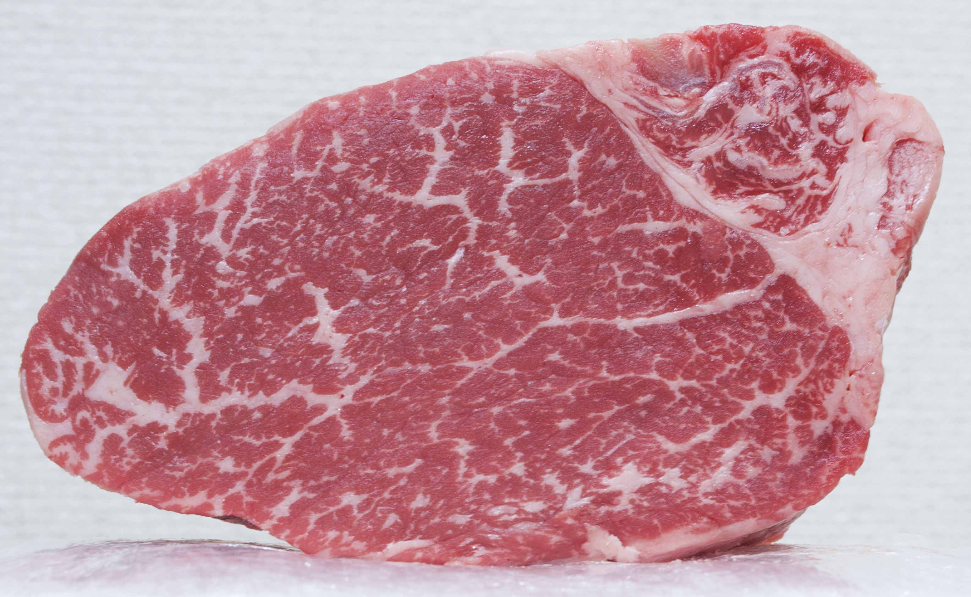 フリーのお肉写真素材 meat free photo textures - 3DCG最新情報サイト MODELING HAPPY