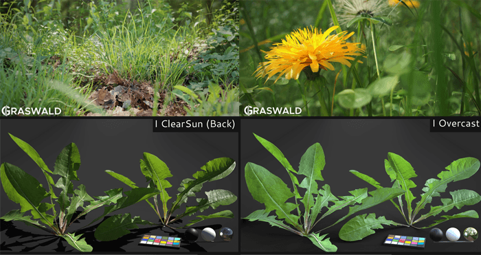 合計32種類の草や雑草のリアルな植物を作成できるブレンダー用アドオンgraswaldが販売されています 3dcg最新情報サイト Modeling Happy