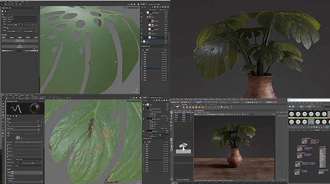 サブスタンスペインターとarnoldを使って葉っぱのテクスチャを作るチュートリアル動画 3dcg最新情報サイト Modeling Happy