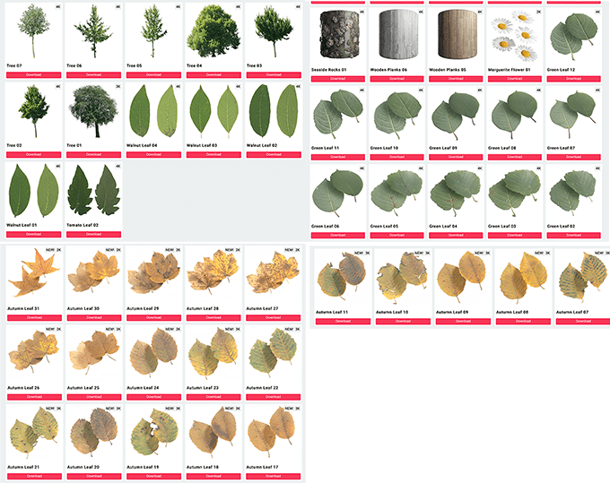 2k 4kサイズの無料で使える葉っぱや木のテクスチャがダウンロードできるサイト Cgbookcase Com 3dcg最新情報サイト Modeling Happy