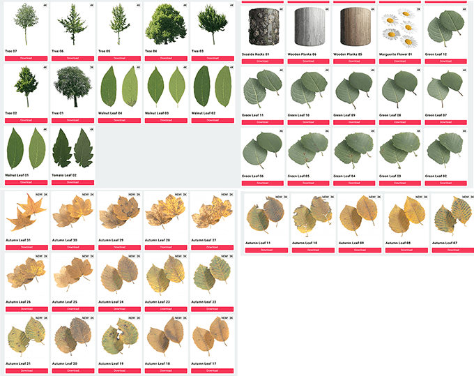 2k 4kサイズの無料で使える葉っぱや木のテクスチャがダウンロード