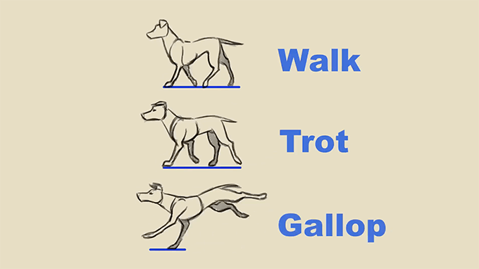 犬が4足で歩くアニメーションはどう作ればいいのか解説している