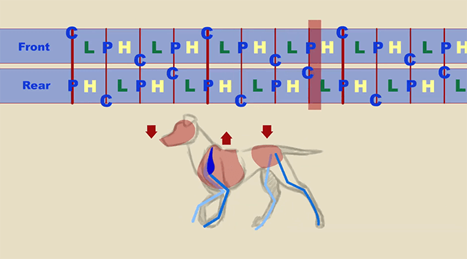 犬が4足で歩くアニメーションはどう作ればいいのか解説しているチュートリアル動画 3dcg最新情報サイト Modeling Happy