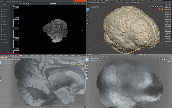 Mriスキャンされた脳の動画をblenderに読み込み3dモデルにする方法 3dcg最新情報サイト Modeling Happy