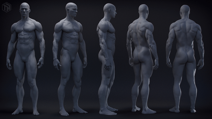 Zbrushで作られたリアルな男性モデルのデータが無料配布されています 3dcg最新情報サイト Modeling Happy