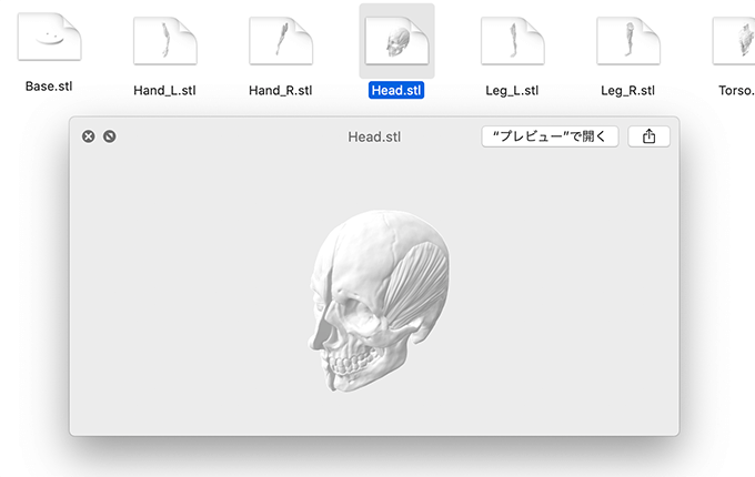 アナトミーフィギュアを3dプリンターを使って自分で作れるstlデータが無料配布中 3dcg最新情報サイト Modeling Happy