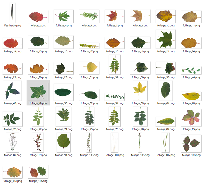 50 Free Foliage Textures 50種類の葉っぱ素材を無料ダウンロードする事が出来ます 3dcg最新情報サイト Modeling Happy