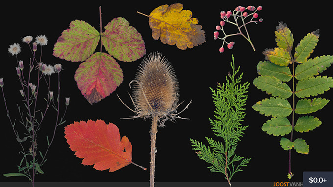 50 Free Foliage Textures 50種類の葉っぱ素材を無料ダウンロードする事が出来ます 3dcg最新情報サイト Modeling Happy