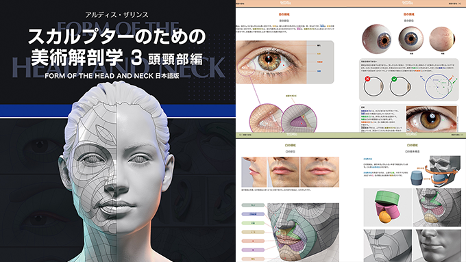 スカルプターのための美術解剖学3頭頸部編Form of the Head and Neck 